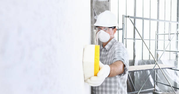 Reliable Malvern, OH Mold Removal Services Solutions